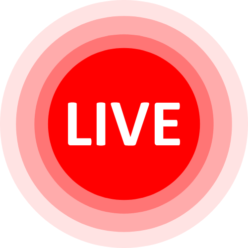 Adult 1 On 1 Cam
